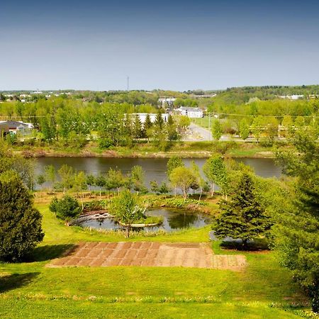 Hebergement "La Maison En Bois Rond" Sainte-Marie Zewnętrze zdjęcie