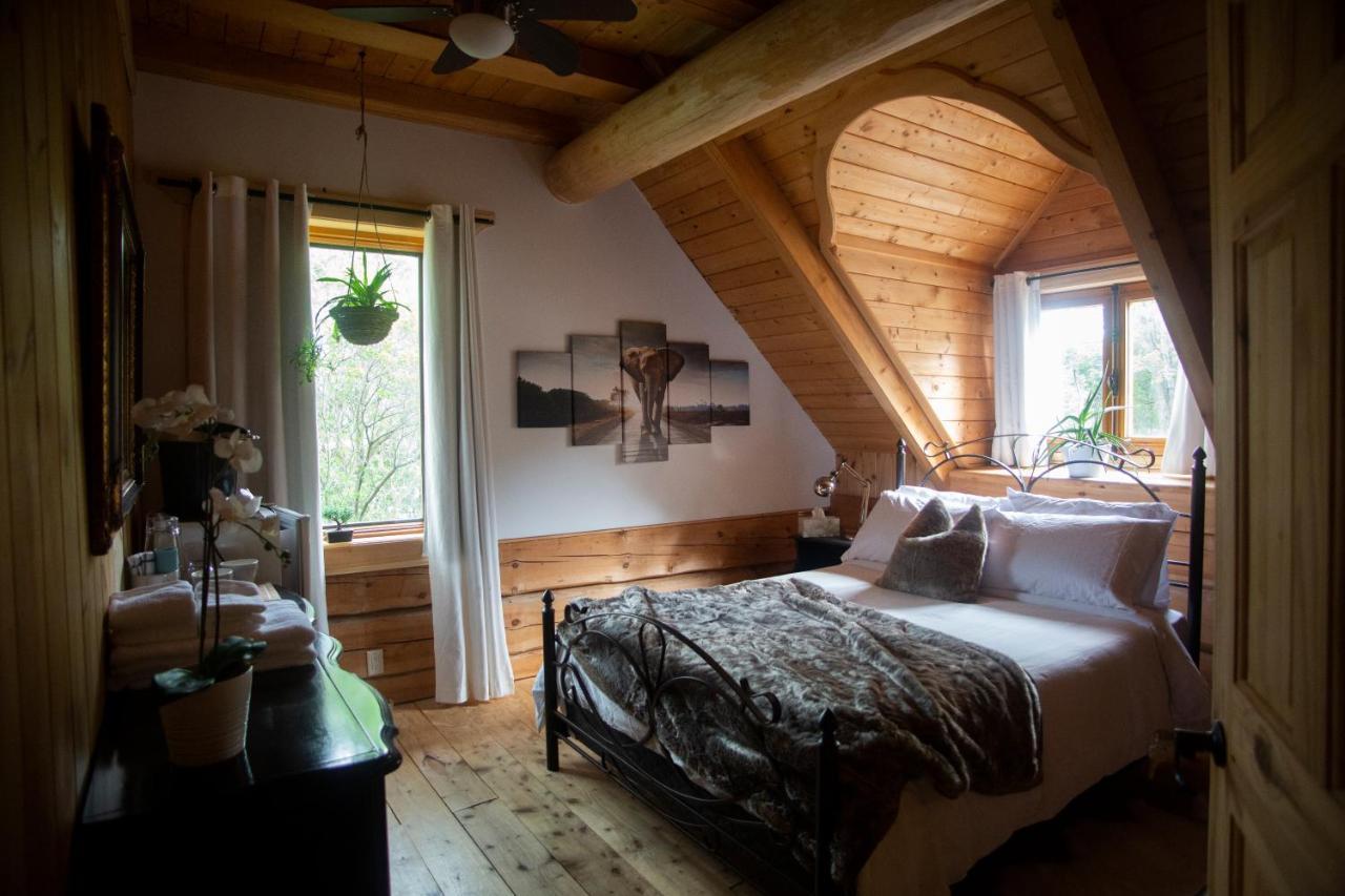 Hebergement "La Maison En Bois Rond" Sainte-Marie Zewnętrze zdjęcie